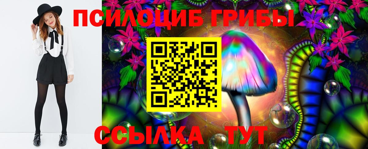 цены наркотик  Псилоцибиновые грибы Magic Shrooms  Вход с VPN  Хабаровск 