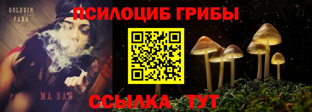 Псилоцибиновые грибы GOLDEN TEACHER Хабаровск